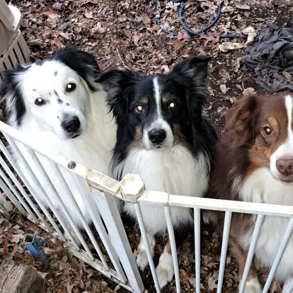 Meet your Posher, Daniel - Picture 10 of 10